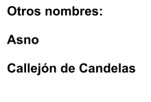 Otros nombres:  Asno   Callejn de Candelas