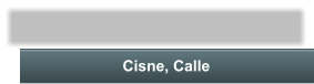 Cisne, Calle